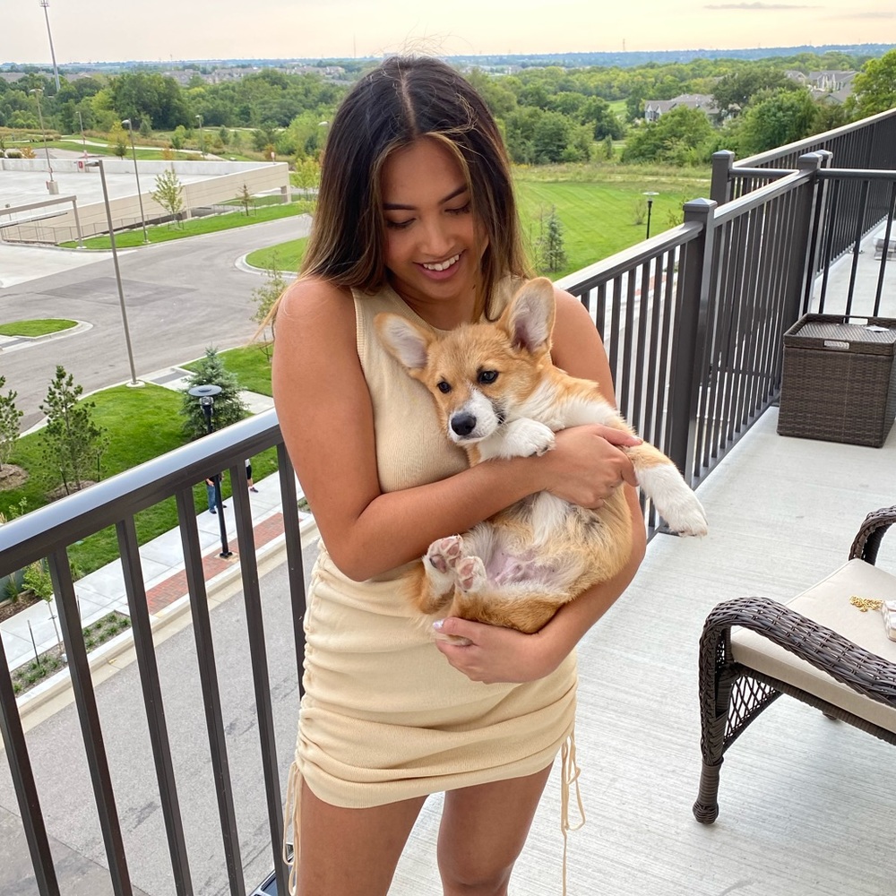 Lioness Drawstring Cinched Dress